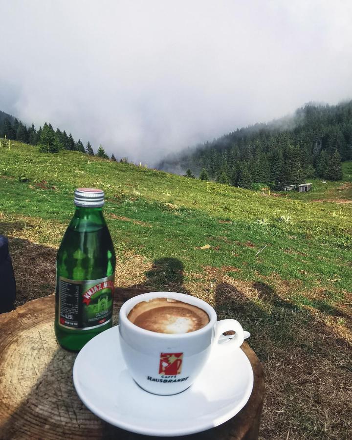 Milmari Resort - Apartman L43 Kopaonik Exteriér fotografie