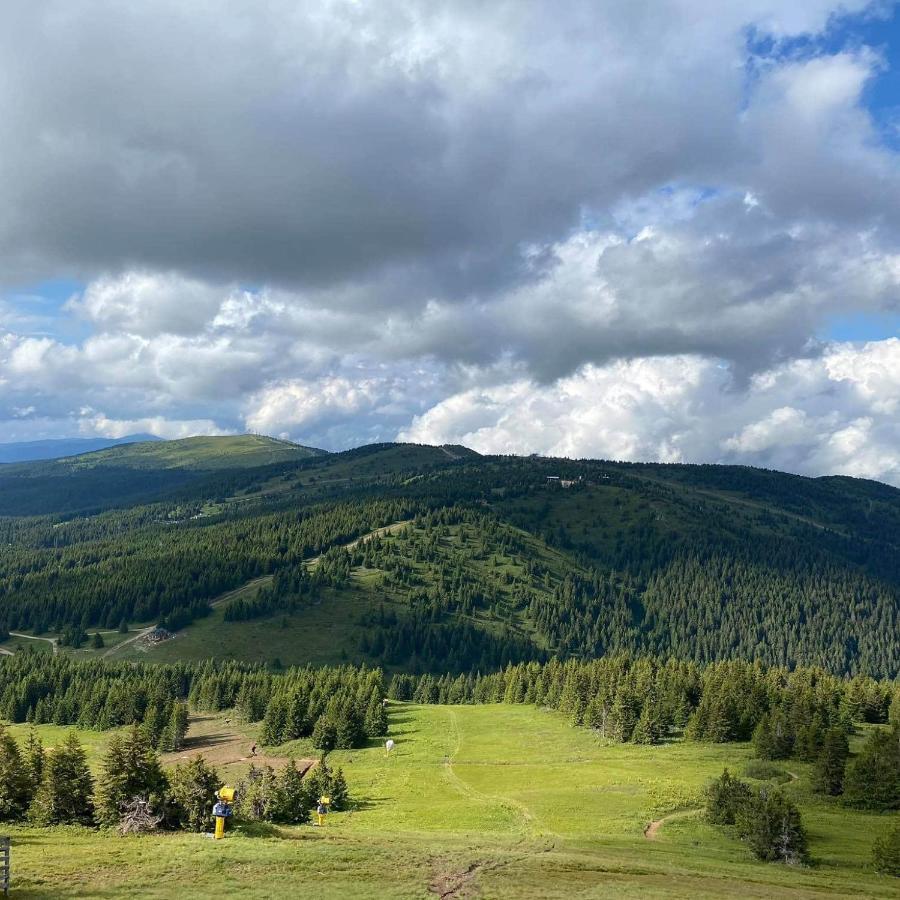 Milmari Resort - Apartman L43 Kopaonik Exteriér fotografie