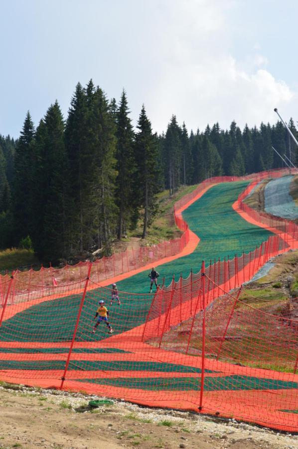Milmari Resort - Apartman L43 Kopaonik Exteriér fotografie